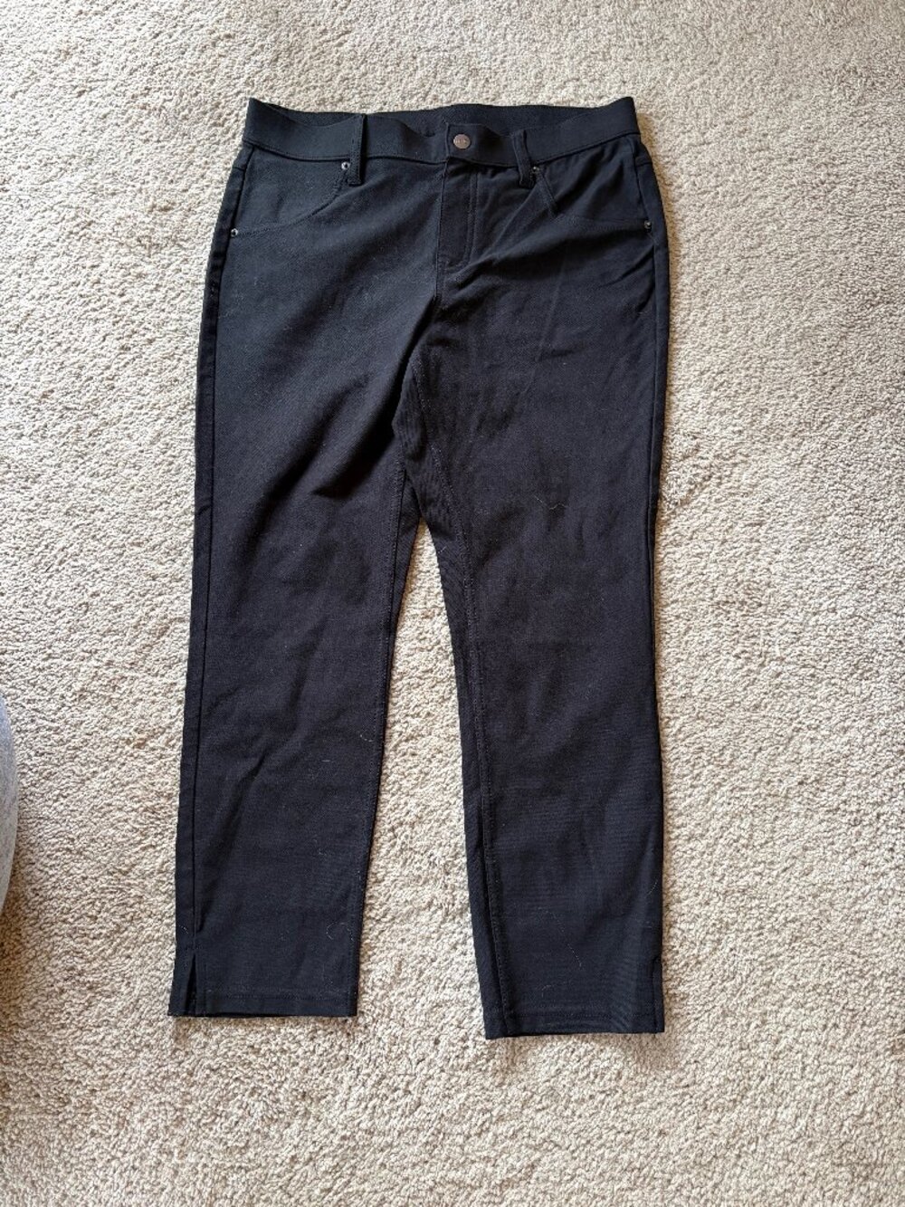 Black Hue Cropped Pants M NwoT